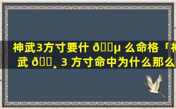 神武3方寸要什 🐵 么命格「神武 🌸 3 方寸命中为什么那么低」